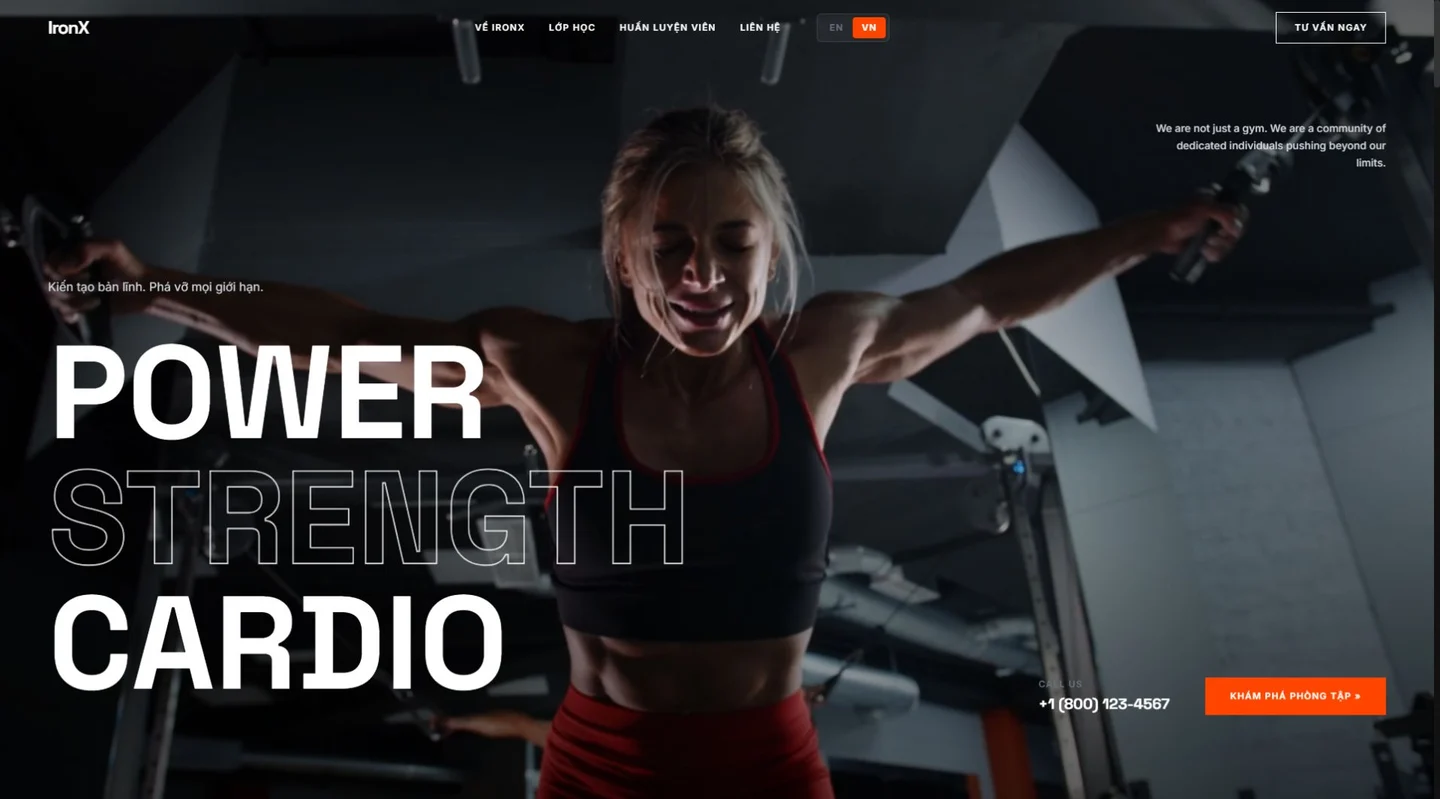 Website interface IronX